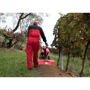 38072-1_Herkules_911147906