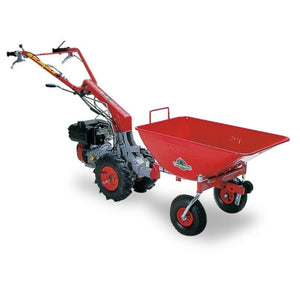 40965-1_Herkules_911787427