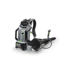 41129_EGO_0380051001