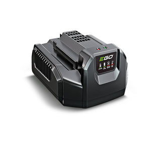 41161_EGO_0220094013