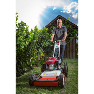 49474-4_Herkules_FL500102