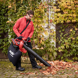 solo-by-ALKO-LBV-3690-Laubsauger-5