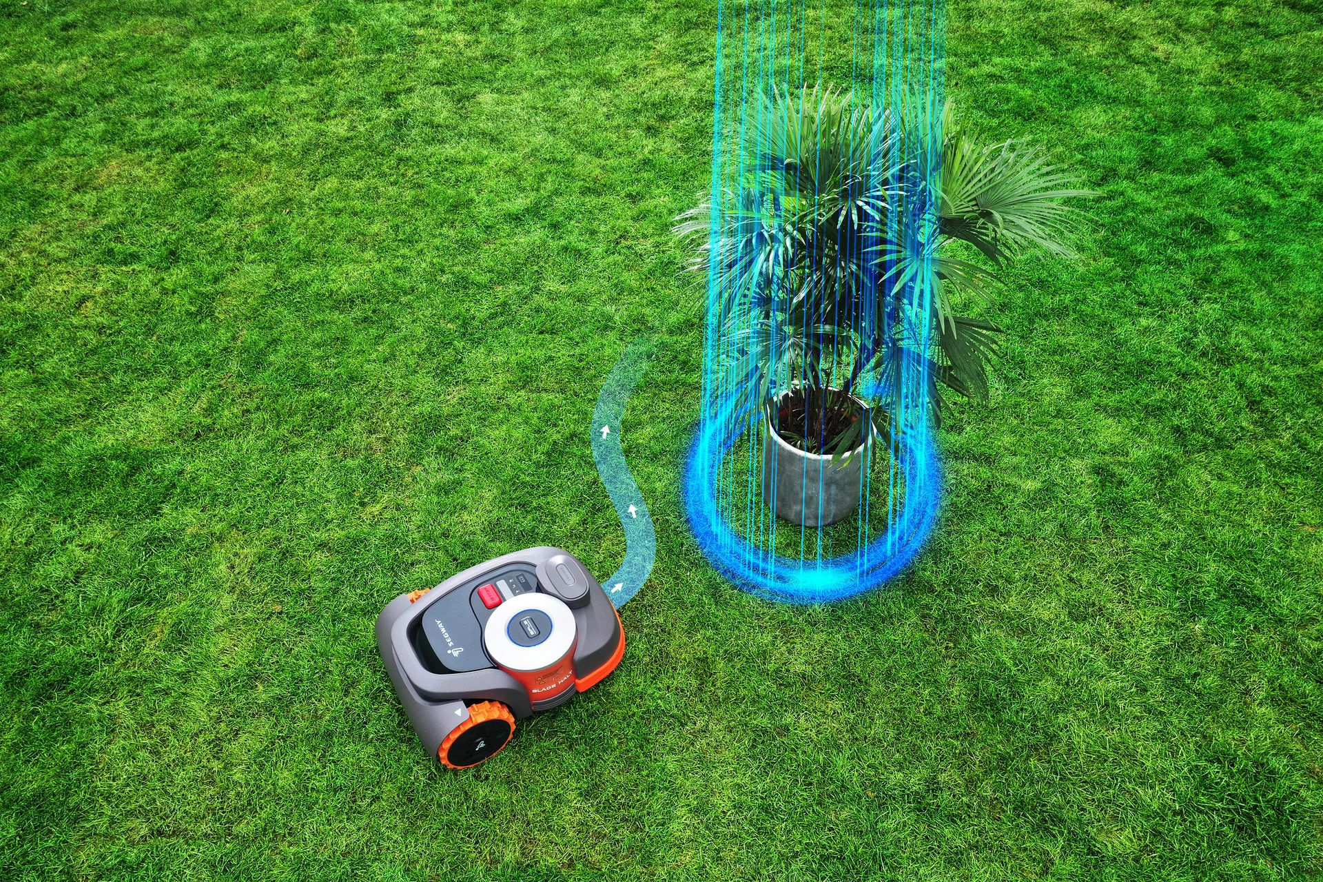 209862_avoid_flowerpots