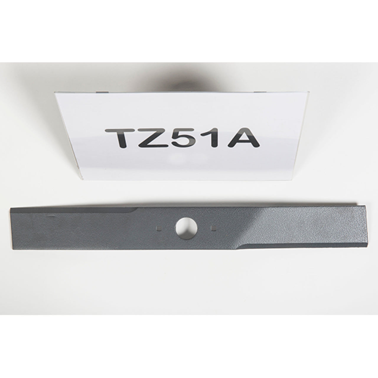 24695_Etesia_TZ51A