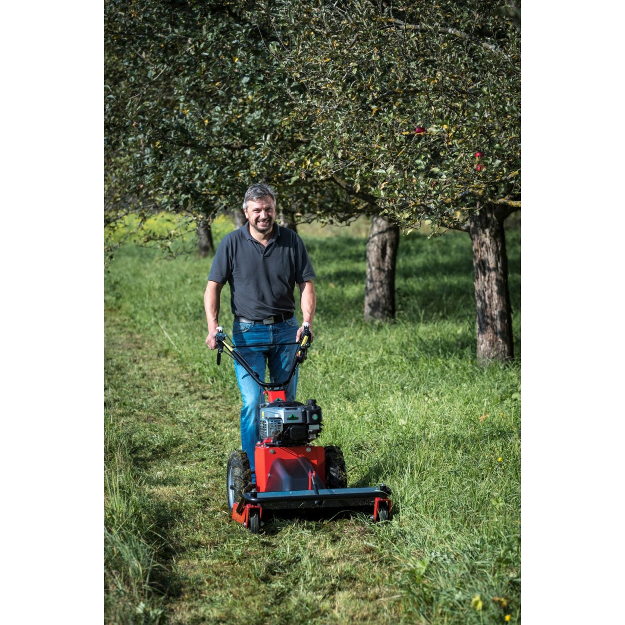 34036-2_Herkules_911991820