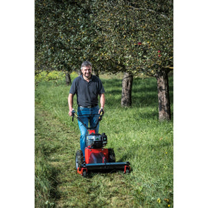 34036-2_Herkules_911991820