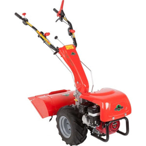 38048-2_Herkules_911187420