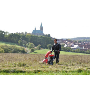 40967-5_Herkules_911197403