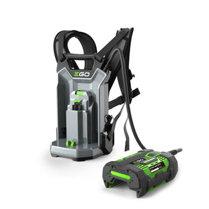 41163_EGO_0400132002