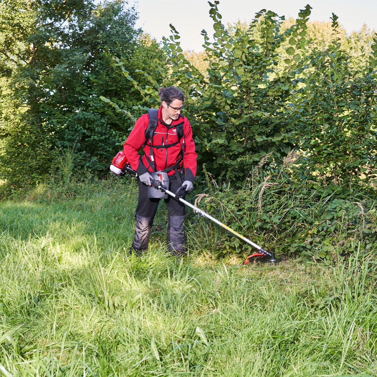 43311-1_Solo by AL-KO_127634