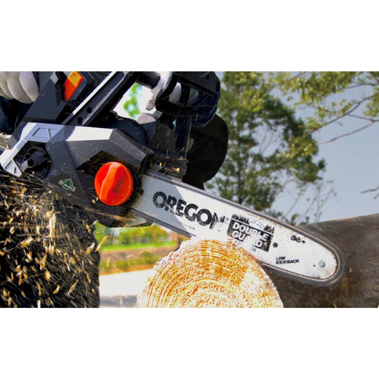 48963-5_Herkules_100401