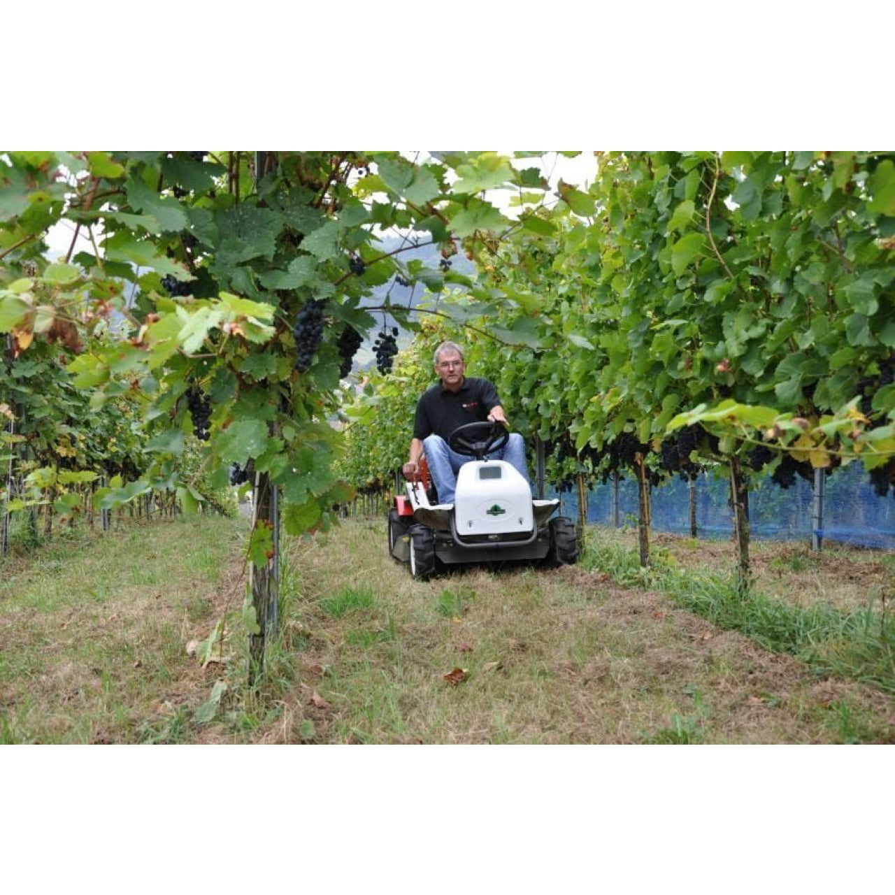 49465-2_Herkules_RM830102