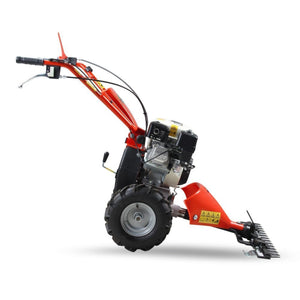 49472-1_Herkules_911392427