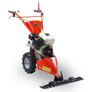 49472_Herkules_911392427