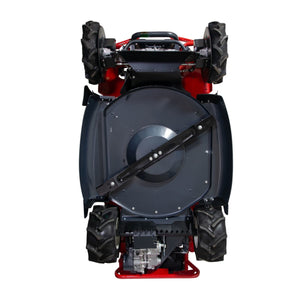 49928-1_Herkules_RM982102