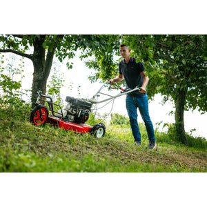 49930-2_Herkules_SH50102