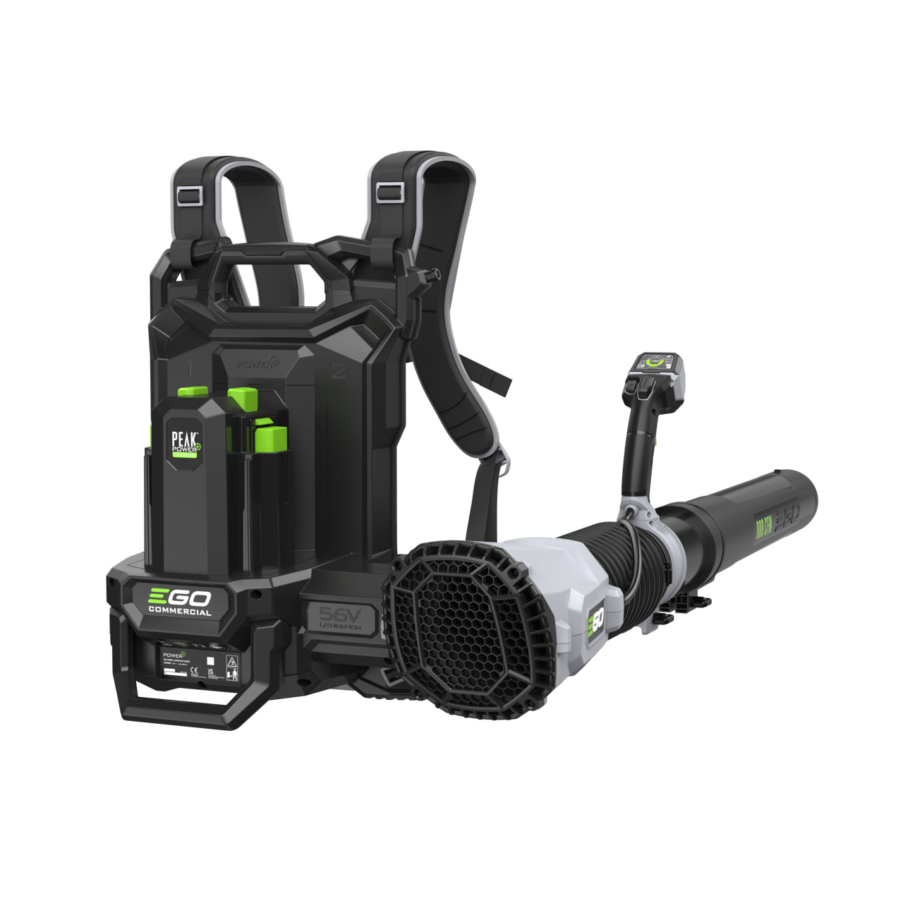 50671_EGO_F820043002