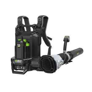 50671_EGO_F820043002