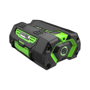 52771_EGO_0400133002